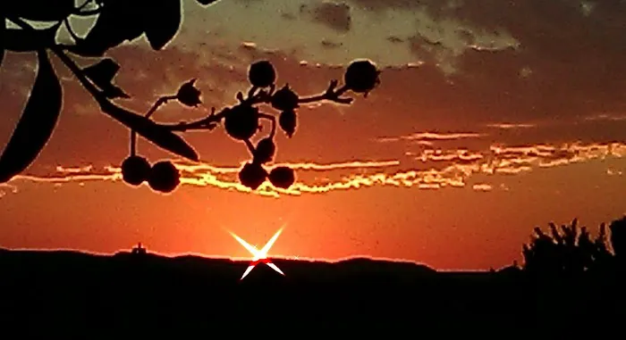 Sunset RV Park Picture 6