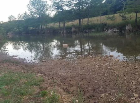 Hill Country Rentals