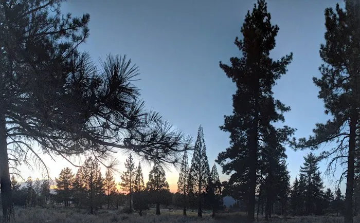 Frazier Park Campsite Picture 1