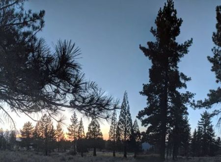 Frazier Park Campsite