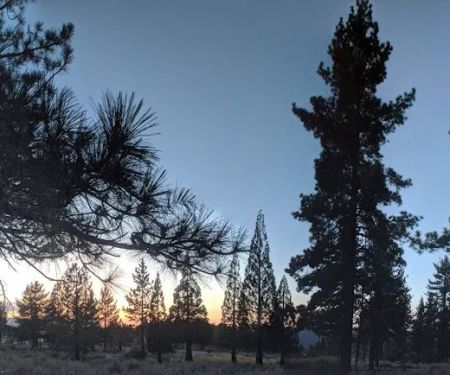 Frazier Park Campsite