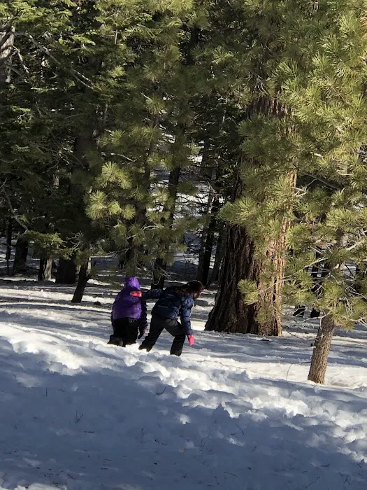 Frazier Park Campsite Picture 3