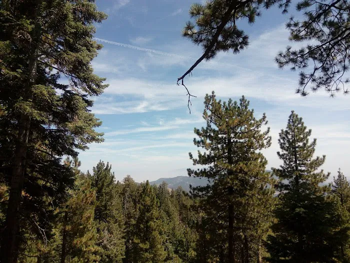 Frazier Park Campsite Picture 6