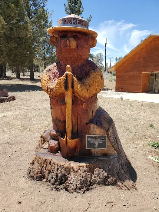 Chuchupate Campground Picture 1