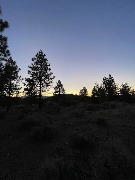 Chuchupate Campground Picture 3