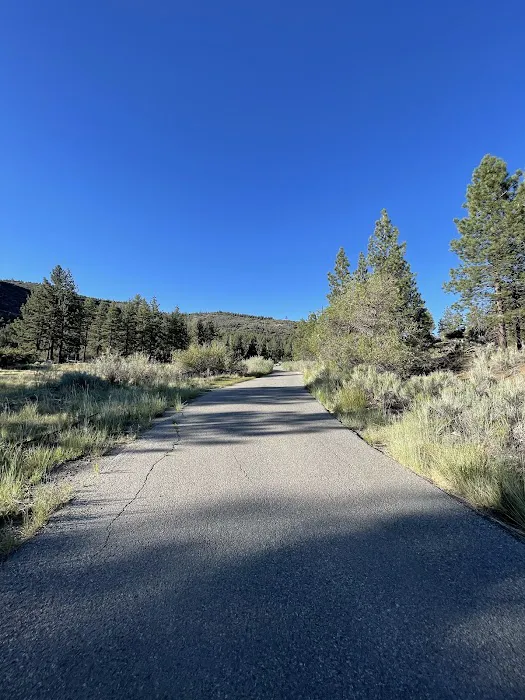 Chuchupate Campground Picture 2