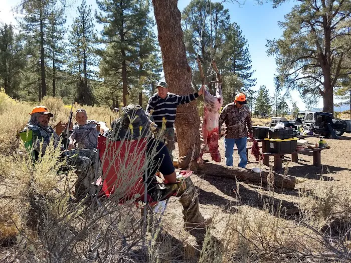 Chuchupate Campground Picture 9