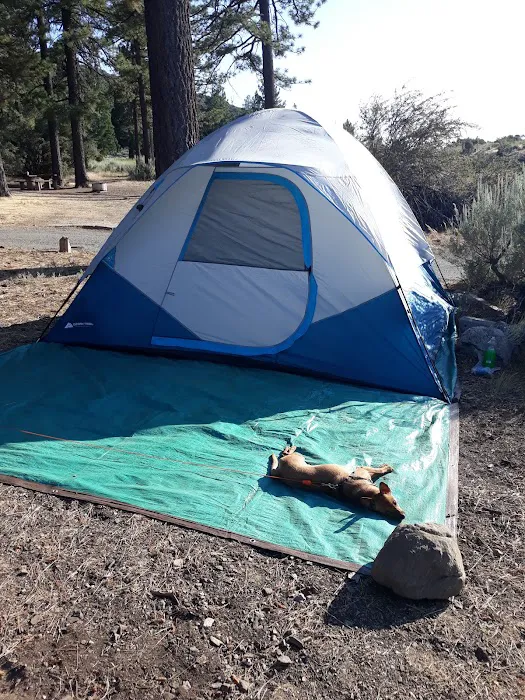 Chuchupate Campground Picture 10