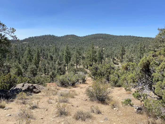 Pine Springs Campground Picture 2
