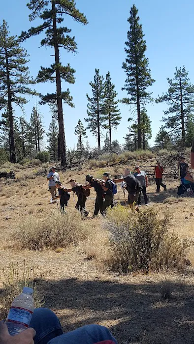 Pine Springs Campground Picture 4