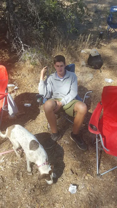 Pine Springs Campground Picture 6