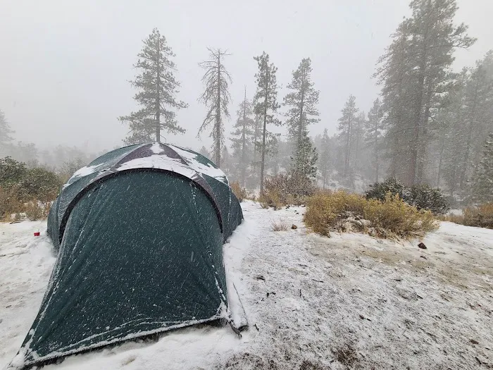Pine Springs Campground Picture 5