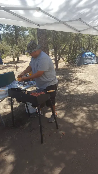 Pine Springs Campground Picture 7