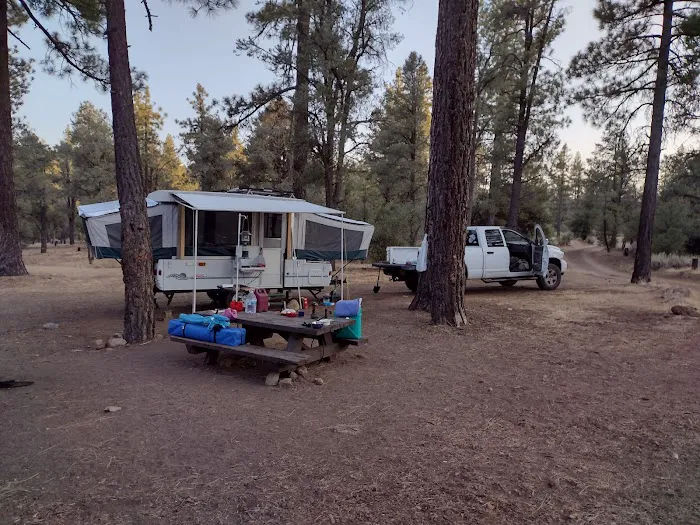 Pine Springs Campground Picture 9