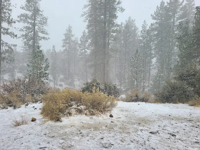 Pine Springs Campground Picture 10