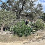 Rockfield RV Park