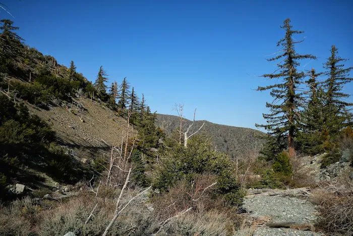 Coldwater Canyon Yellow Post Sites Picture 1