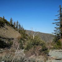 Coldwater Canyon Yellow Post Sites ico