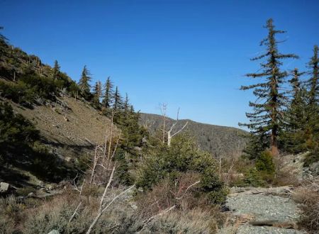 Coldwater Canyon Yellow Post Sites