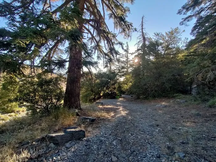 Coldwater Canyon Yellow Post Sites Picture 4