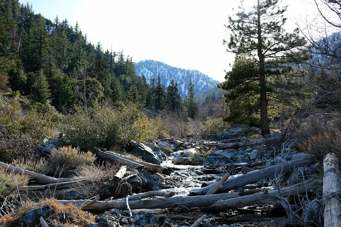 Coldwater Canyon Yellow Post Sites Picture 5