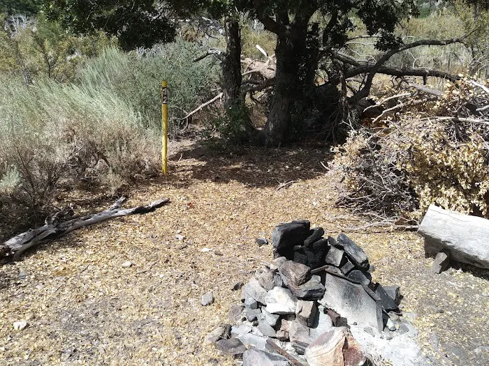 Paiute Canyon Yellow Post Sites Picture 2