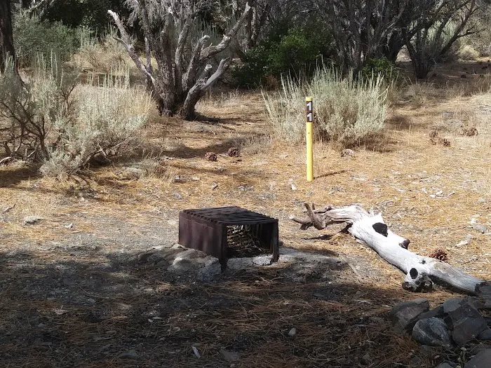 Paiute Canyon Yellow Post Sites Picture 5