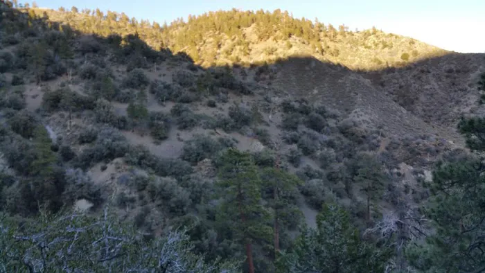 Paiute Canyon Yellow Post Sites Picture 9