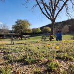 Quiet Valley Ranch
