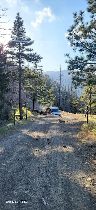Gobbler's Knob Yellow Post Sites Picture 6