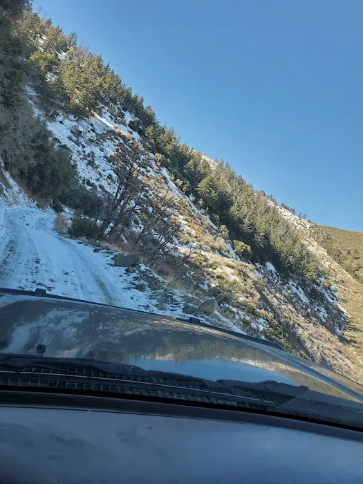 Gobbler's Knob Yellow Post Sites Picture 10