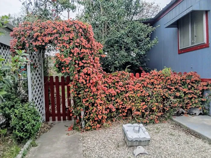 Three Hills Mobile Home Park Picture 1