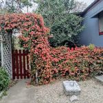 Three Hills Mobile Home Park