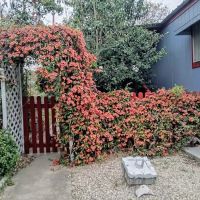 Three Hills Mobile Home Park ico