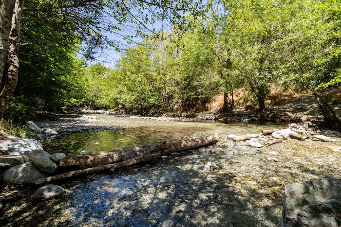 Bonita Ranch Campground Picture 6