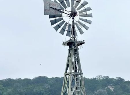 Buckhorn Lake Resort