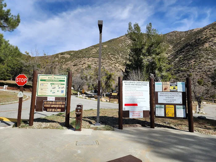 Applewhite Campground Picture 4