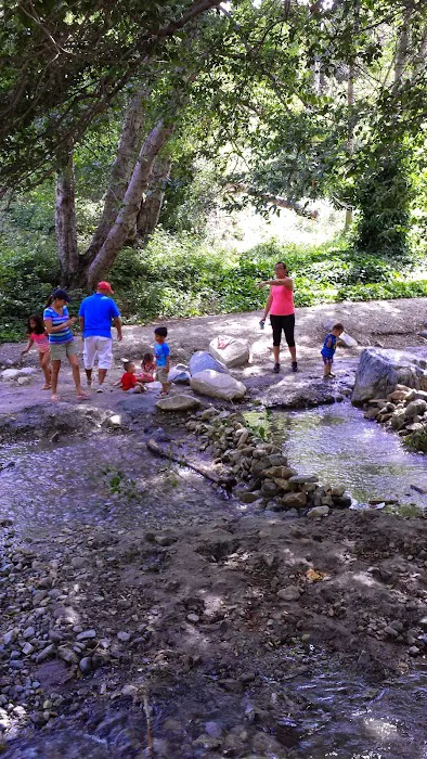 Applewhite Campground Picture 7