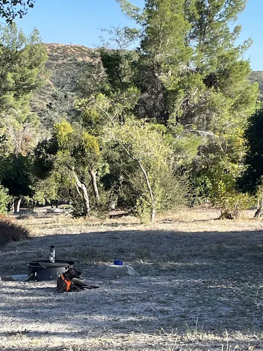 Applewhite Campground Picture 9