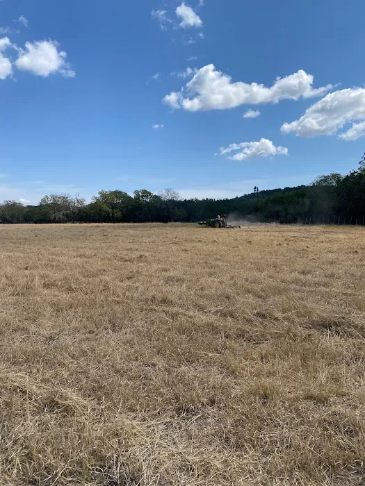 Grandma's RV Pasture Picture 2