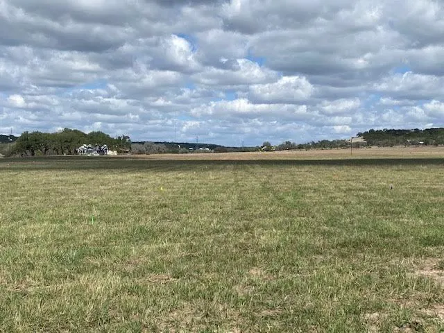 Grandma's RV Pasture Picture 3
