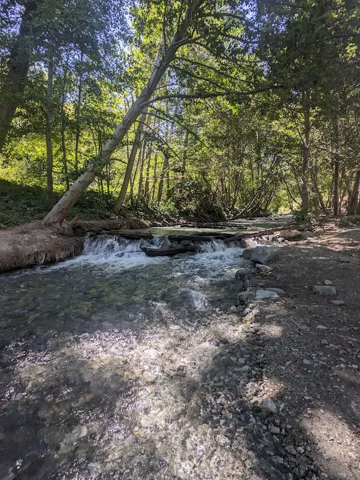 Lytle Creek - Cajon Pass Recreation Area Picture 3