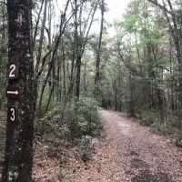 Campsite #3 ico