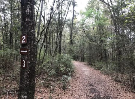 Campsite #3