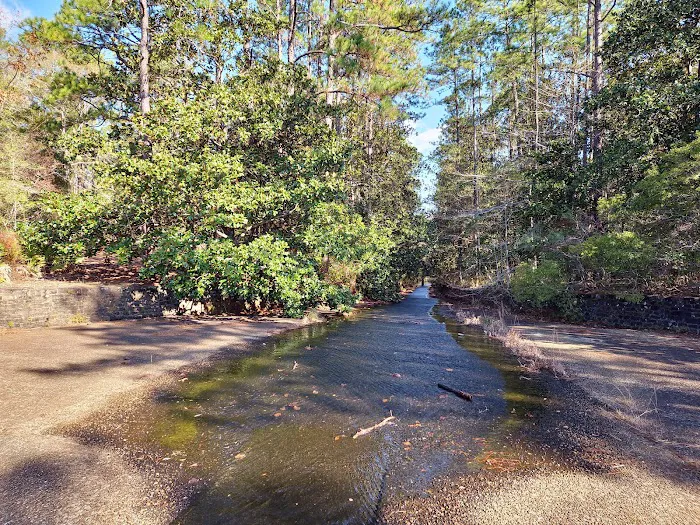 Scoutshire Woods Picture 4
