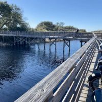 Gulf State Park Campground ico