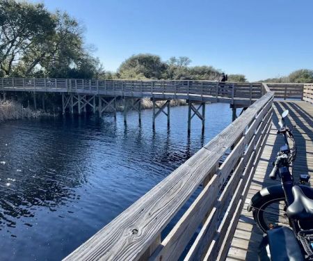 Gulf State Park Campground