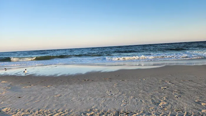 Gulf State Park Campground Picture 2