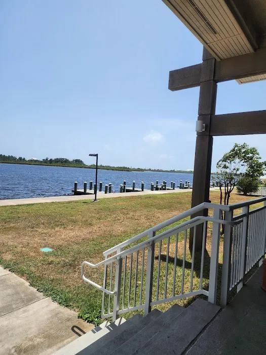 Gulf State Park Campground Picture 4