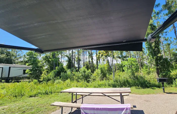 Gulf State Park Campground Picture 6